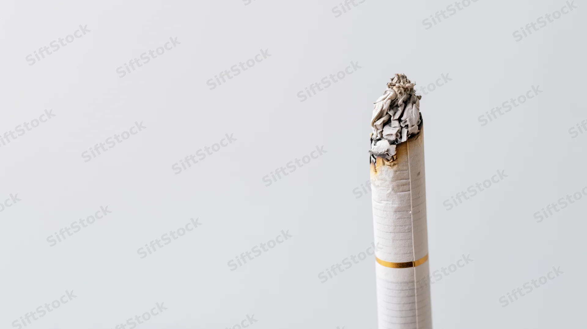 Lit cigarette with ash tip standing upright against white background