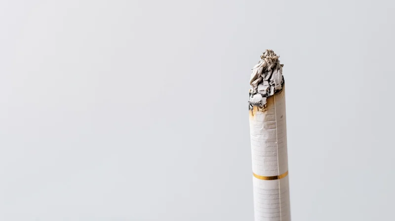 Lit cigarette with ash tip standing upright against white background