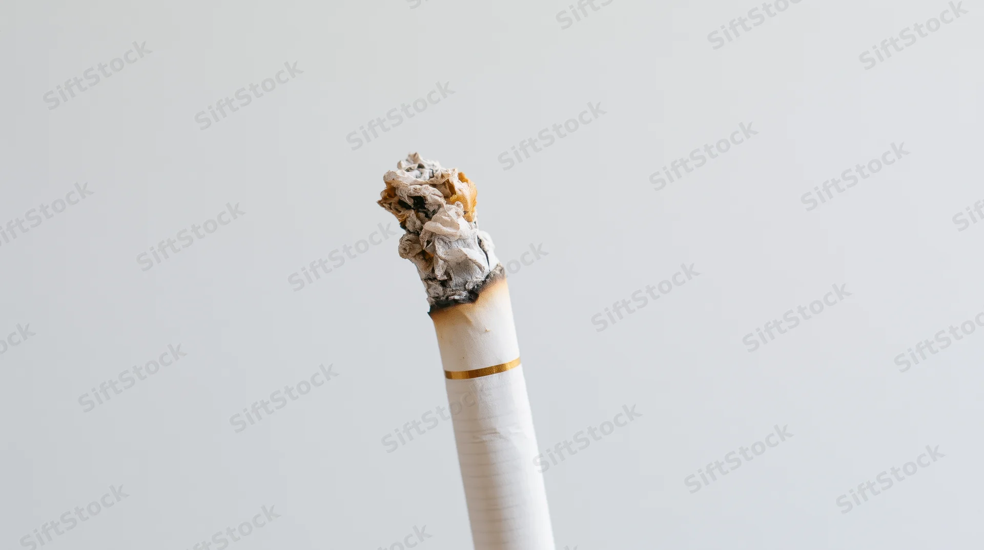 Lit cigarette with ash tip standing upright against plain background