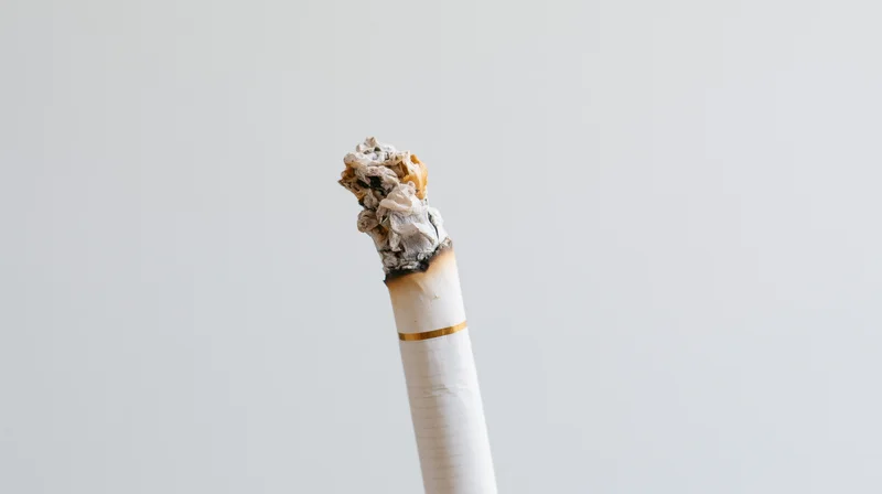 Lit cigarette with ash tip standing upright against plain background