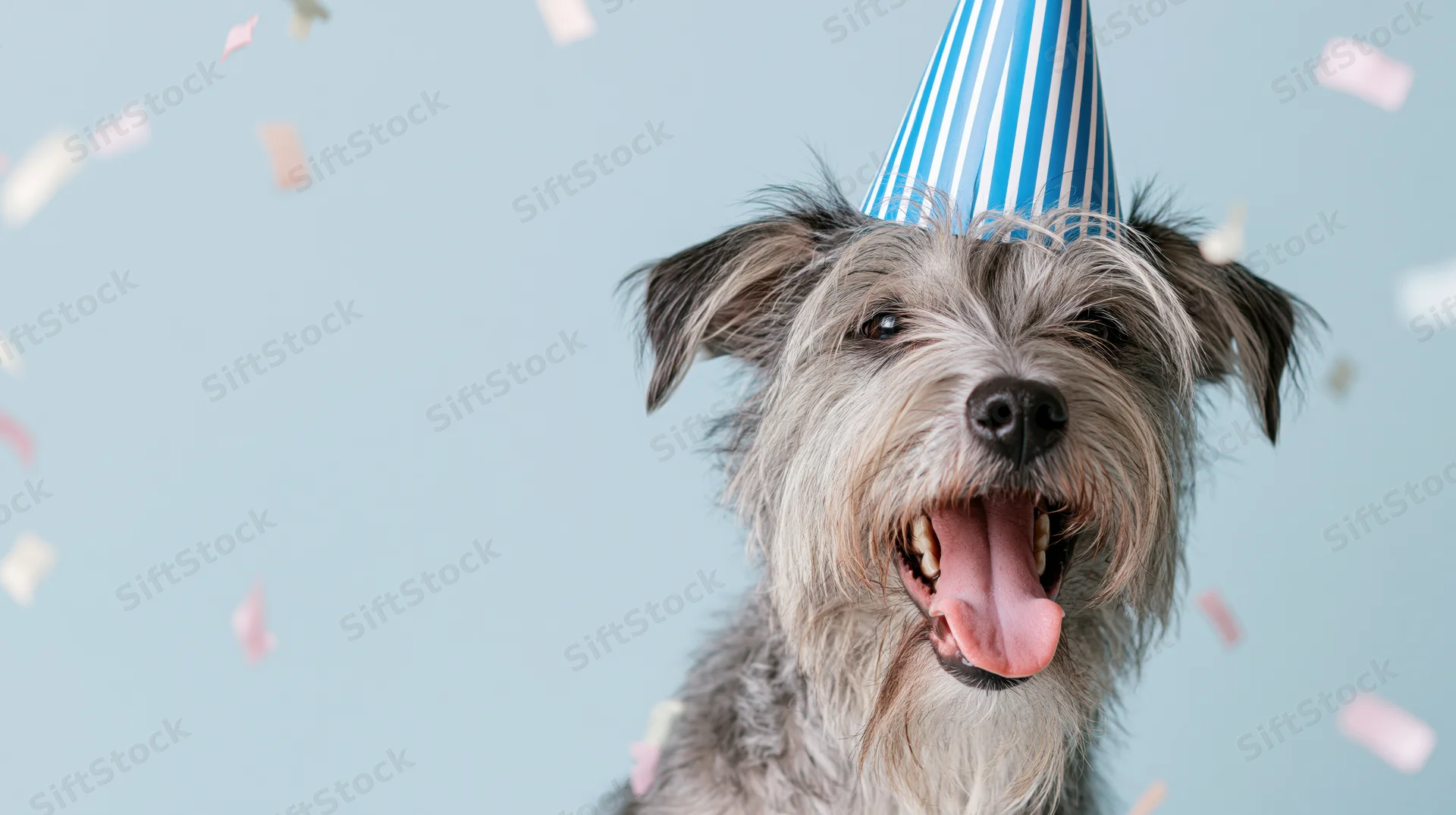 Small scruffy terrier mix wearing blue and white striped party hat with confetti falling around it against light blue background