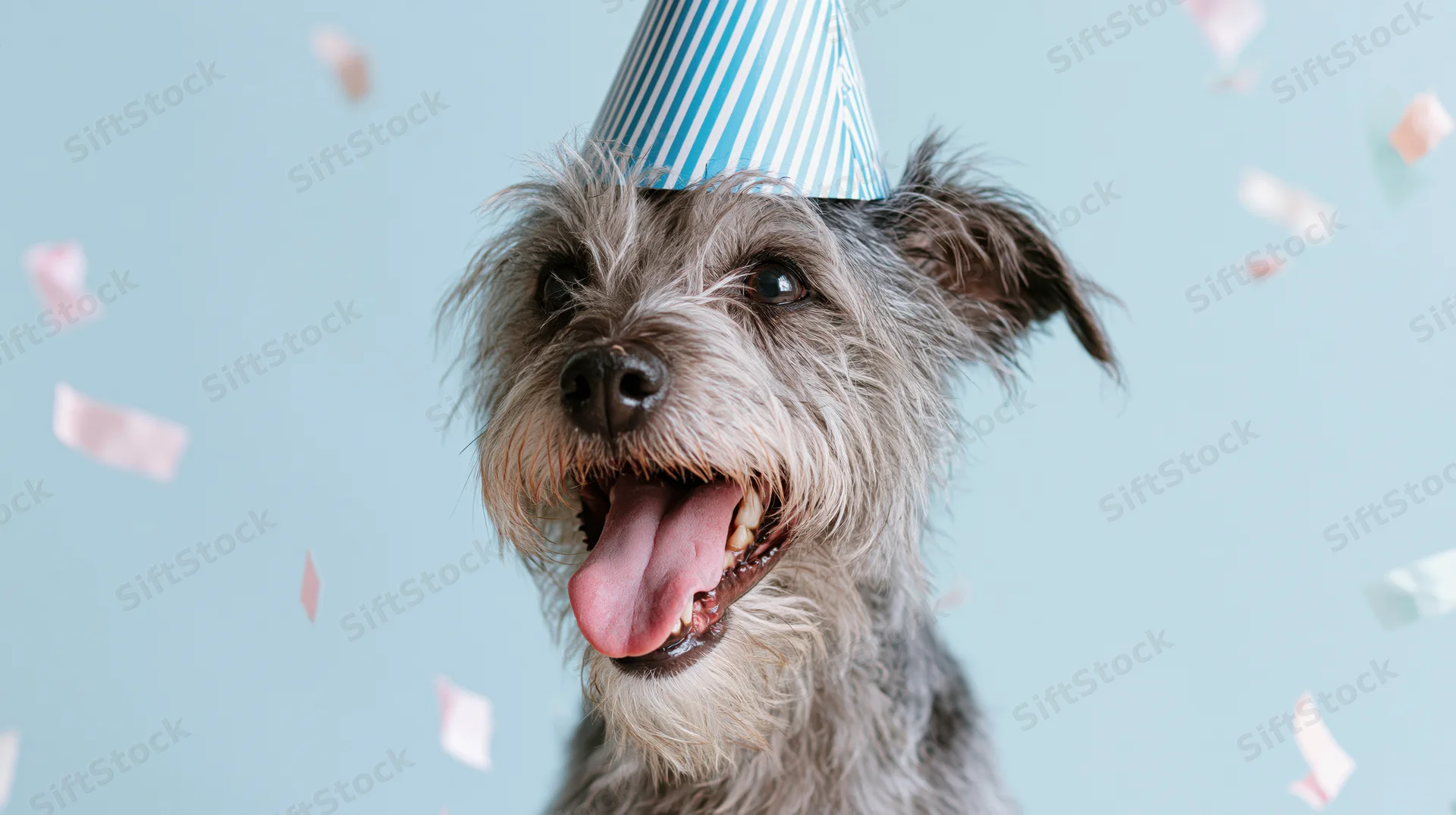 Scruffy terrier mix wearing striped party hat with confetti falling around it