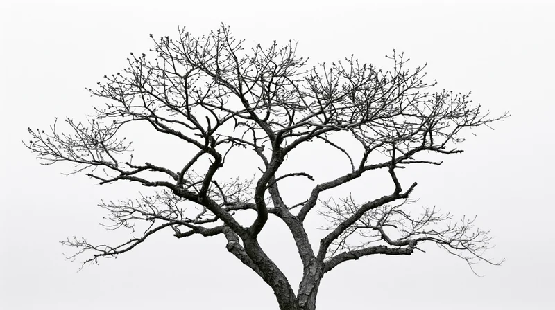 Bare deciduous tree with sparse buds against overcast sky