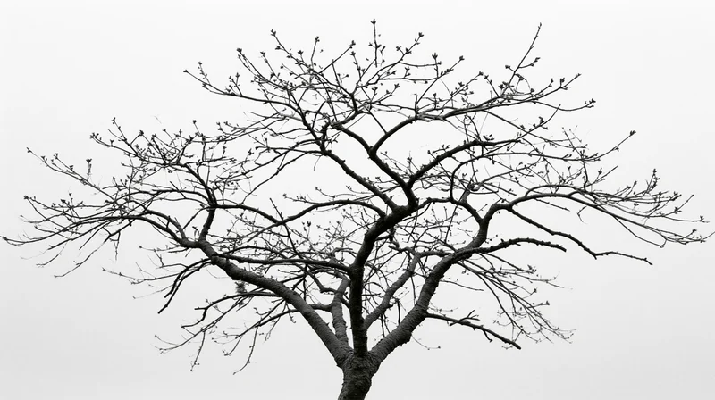 Bare deciduous tree with sparse buds against overcast sky