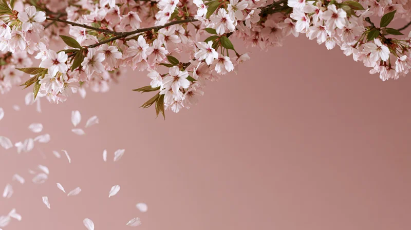 Cherry blossom branches arching across the top with petals falling against a soft pink background