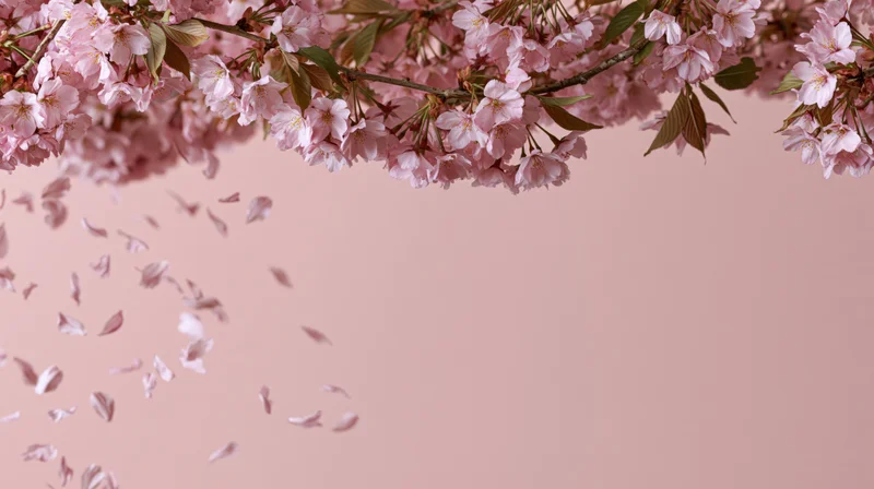 Cherry blossom branches arching across the top with petals falling against a soft pink background