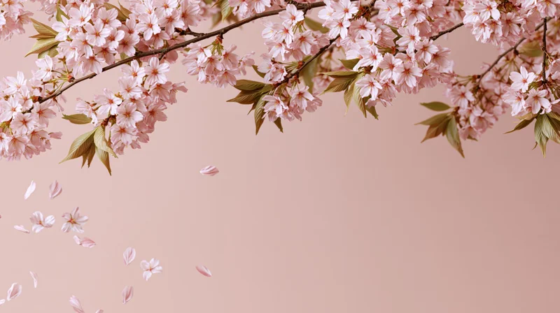 Cherry blossom branches arching across the top with petals falling against a soft pink background