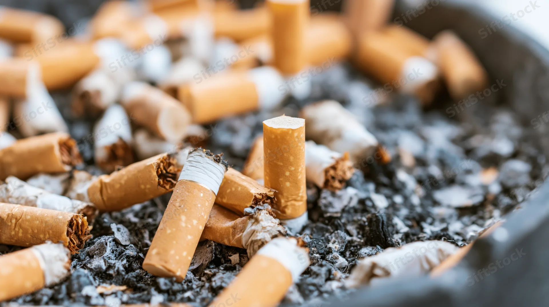 Cigarette butts and ash in an ashtray, close-up view