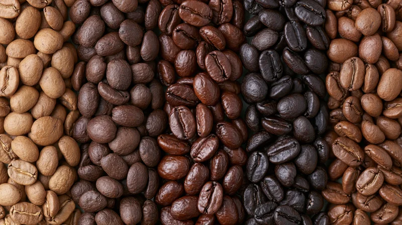 Five vertical columns of coffee beans arranged side by side showing different roast levels from light to dark