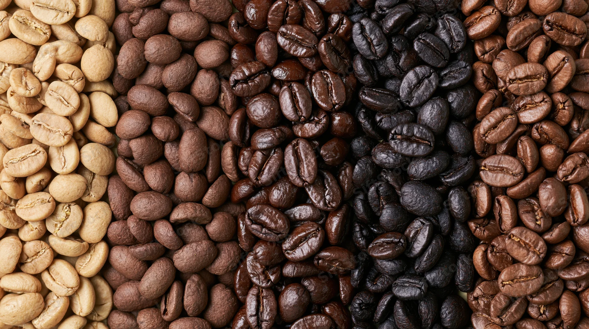 Five vertical columns of coffee beans arranged side by side showing different roast levels from unroasted to dark roasted