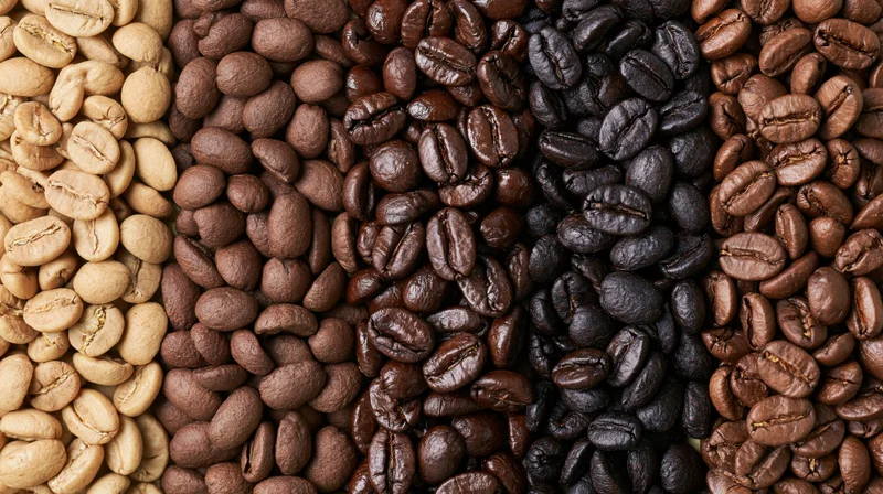Five vertical columns of coffee beans arranged side by side showing different roast levels from unroasted to dark roasted
