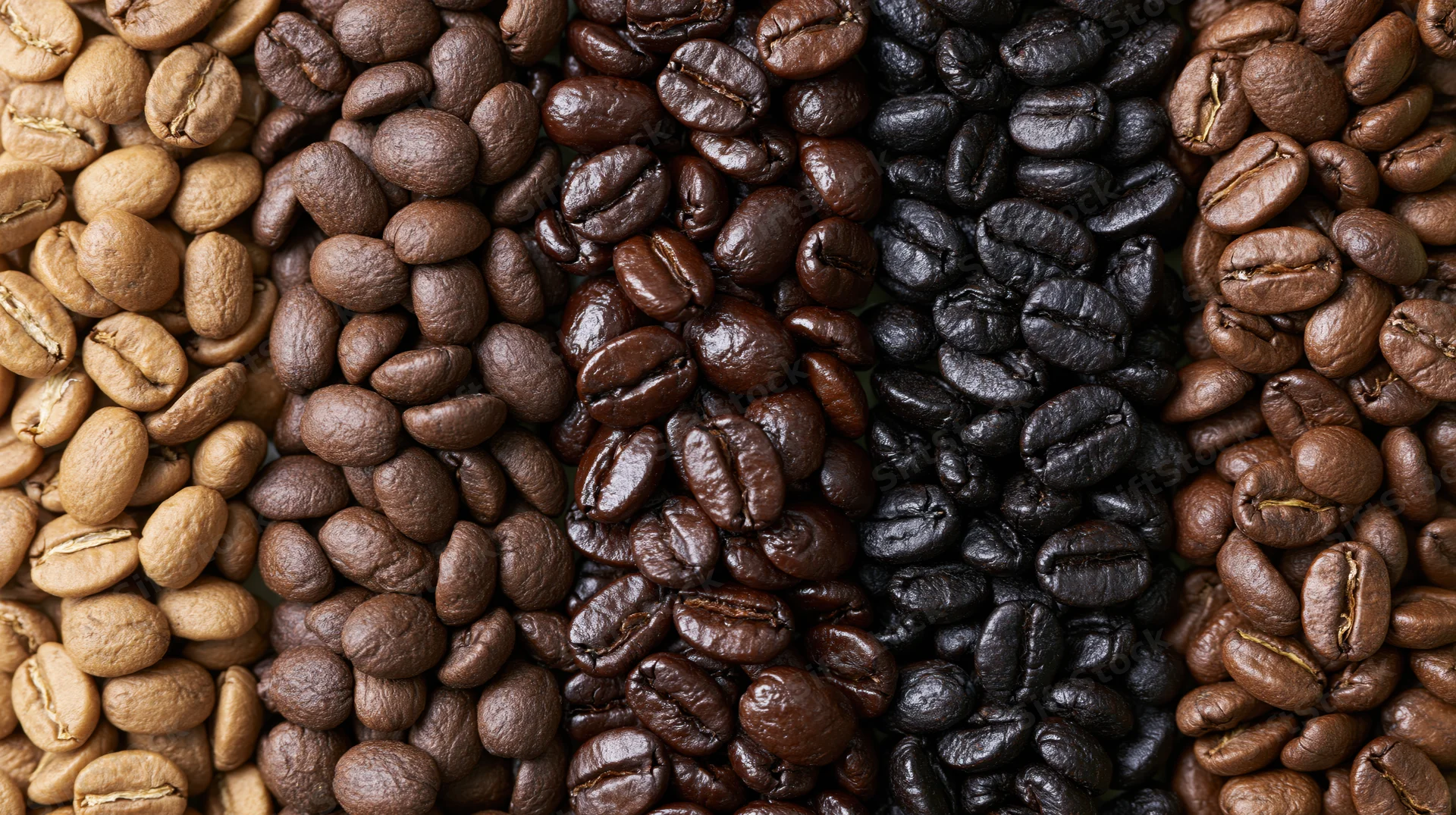 Five vertical columns of coffee beans arranged side by side showing different roast levels from light to dark