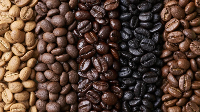 Five vertical columns of coffee beans arranged side by side showing different roast levels from light to dark