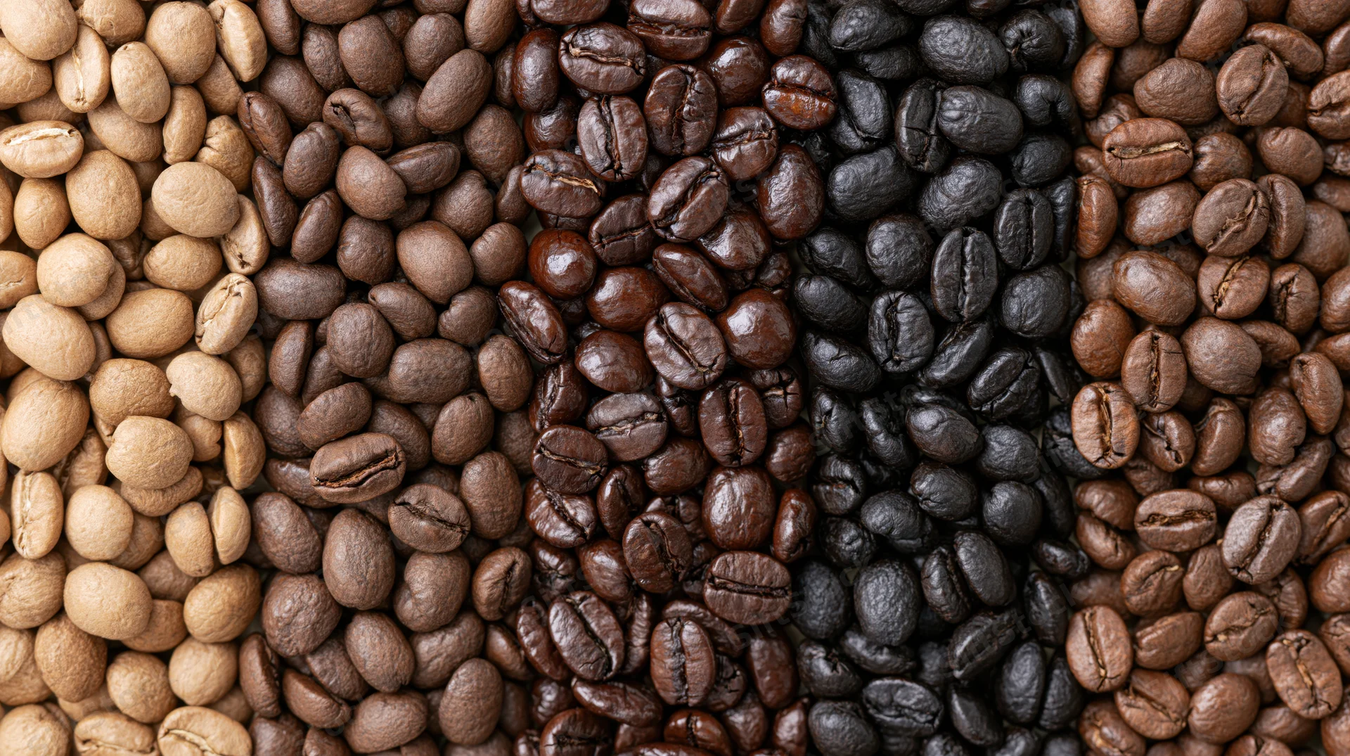 Five vertical columns of coffee beans arranged side by side showing different roast levels from unroasted to dark roast