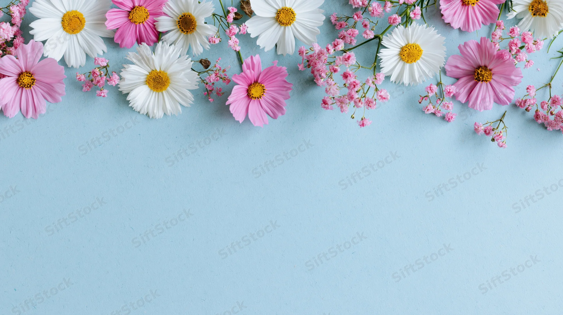 Spring flowers arranged along the top edge on a light blue surface with copyspace below