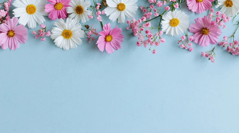 Spring flowers arranged along the top edge on a light blue surface with copyspace below