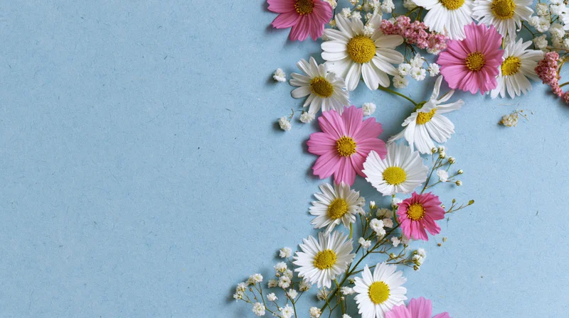 Mixed spring flowers arranged along the right edge on blue paper background