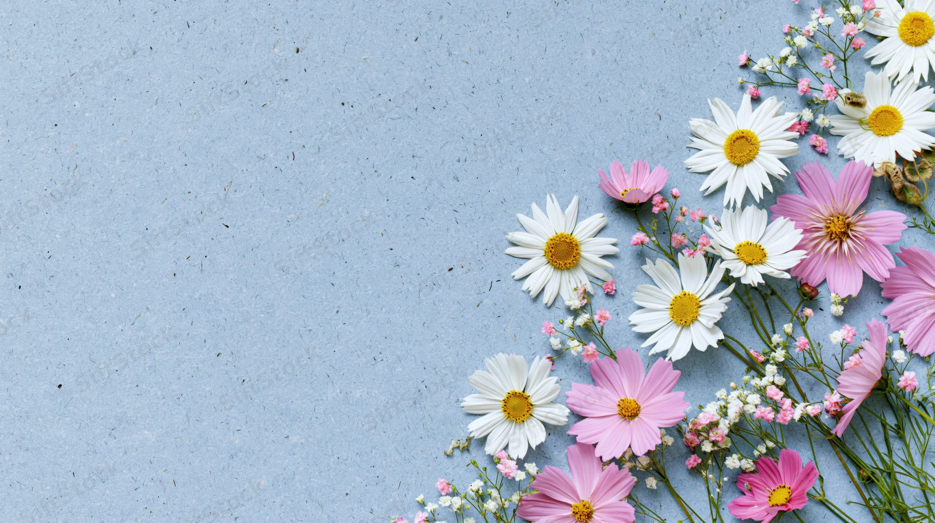 Mixed spring flowers arranged along the right edge on a blue textured surface with copyspace