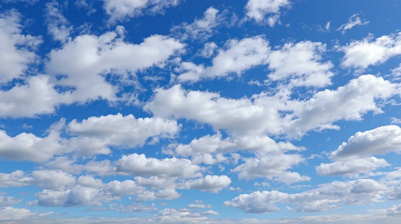 Open sky filled with scattered cumulus clouds during daytime