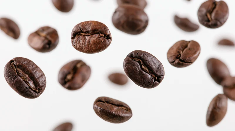 Roasted coffee beans floating midair scattered against white background