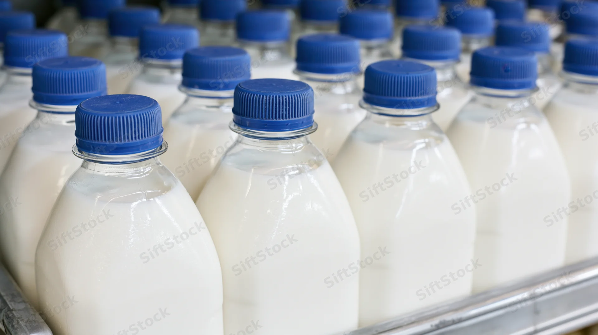 Rows of clear plastic milk bottles with blue screw caps lined on a refrigerated shelf