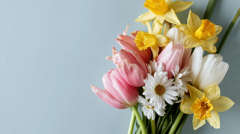 Spring bouquet of pink tulips, white daisies, and yellow daffodils against a light blue background with copyspace on the left