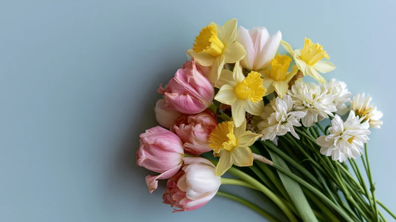 Spring bouquet of pink tulips, yellow daffodils and white chrysanthemums on a light blue background