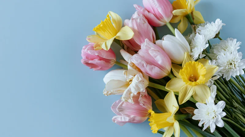 Spring flower bouquet with pink tulips, yellow daffodils and white chrysanthemums on light blue background
