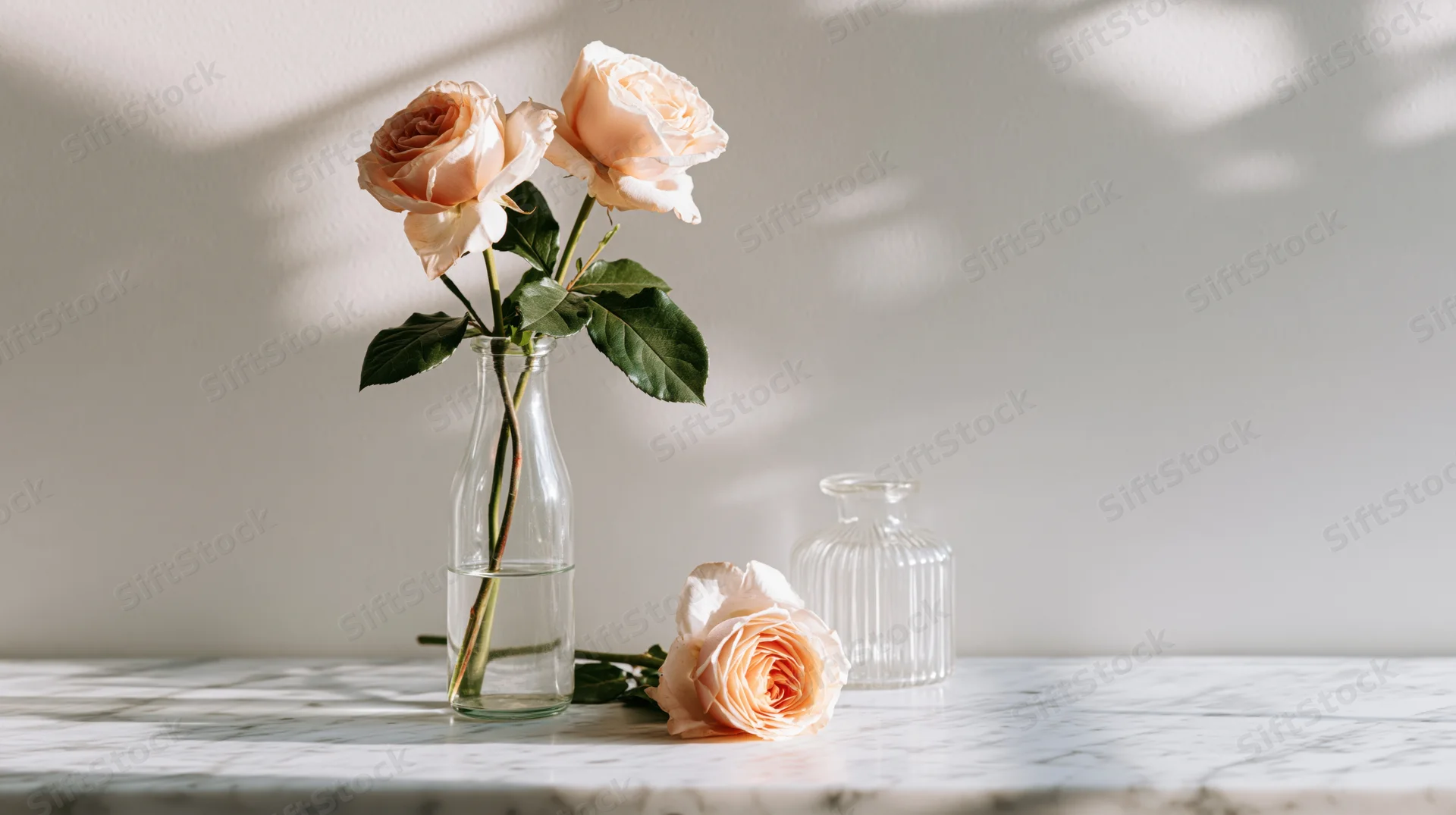 Two pale peach roses in a clear glass vase on a white marble table with soft sunlight and shadows