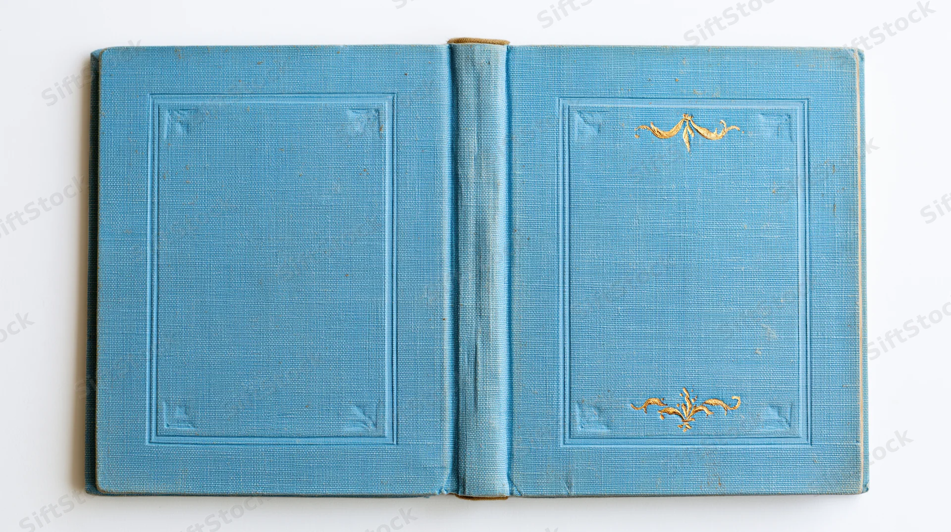 Open vintage hardcover book with blue embossed covers and gold decoration lying flat on white background