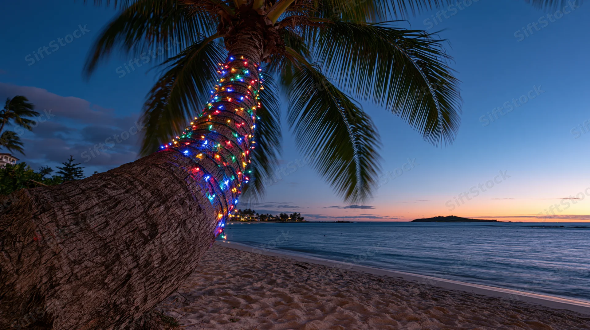 Palm tree wrapped with colorful string lights on a beach at twilight