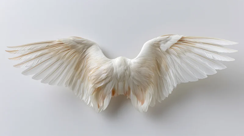 Large white bird wings spread symmetrically against a plain light background