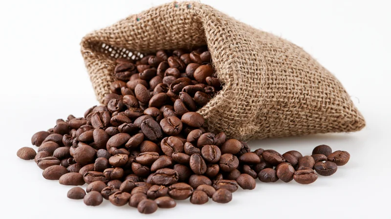 Roasted coffee beans spilling from a small burlap sack on white background