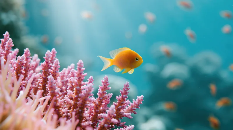 Small orange-yellow fish swimming midwater near pink coral in a tropical reef environment