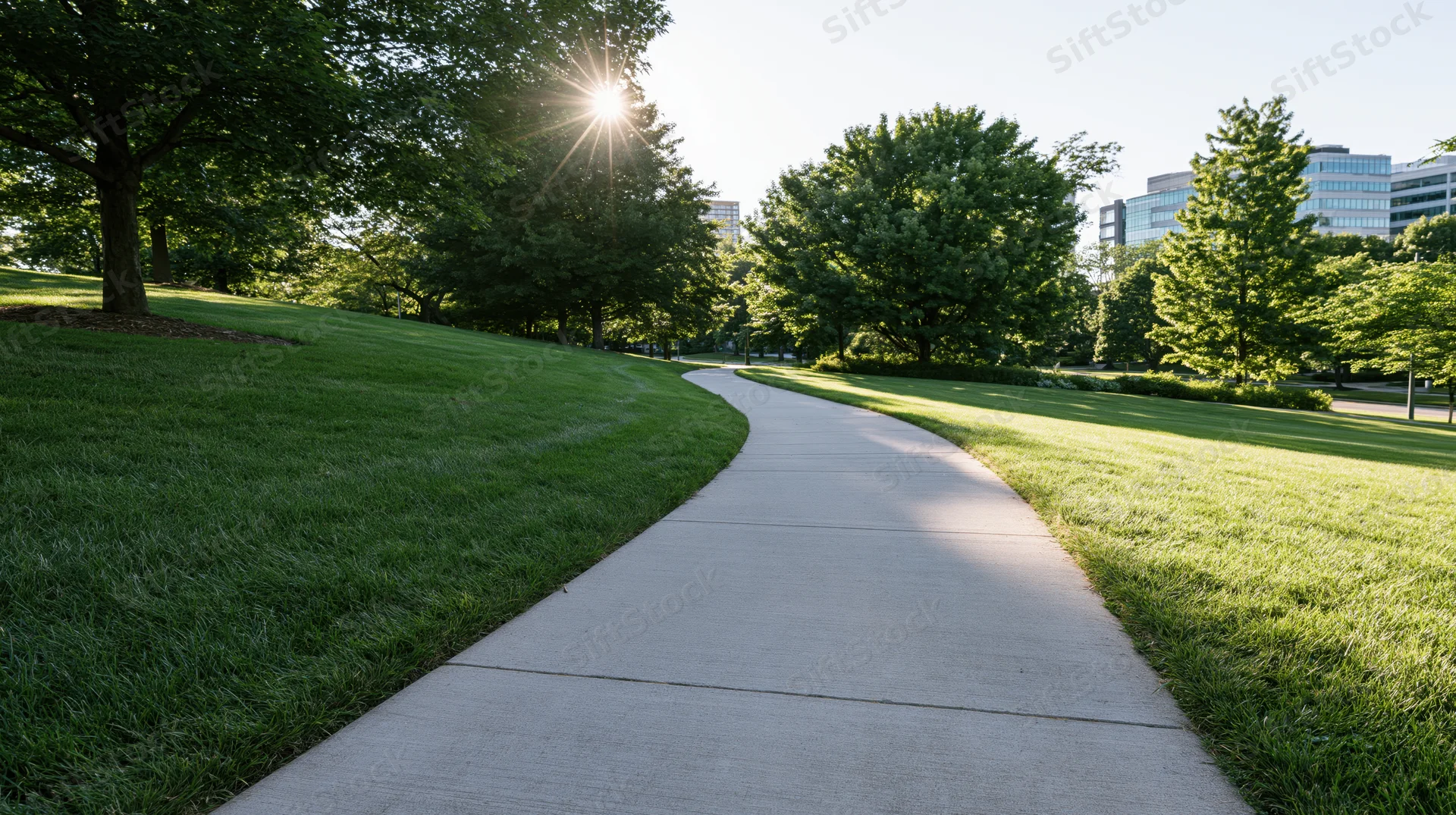 Winding concrete pathway through a green park with trees and city buildings in the background