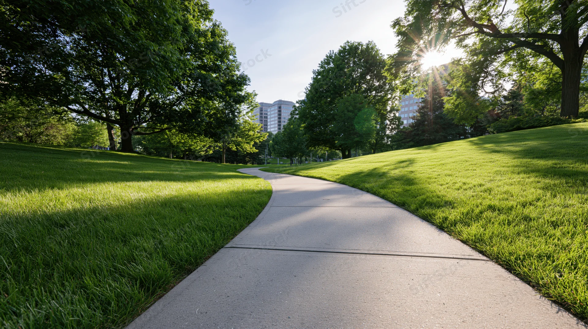 Winding concrete path through a grassy park with trees and sunlight, leading toward city buildings in the distance