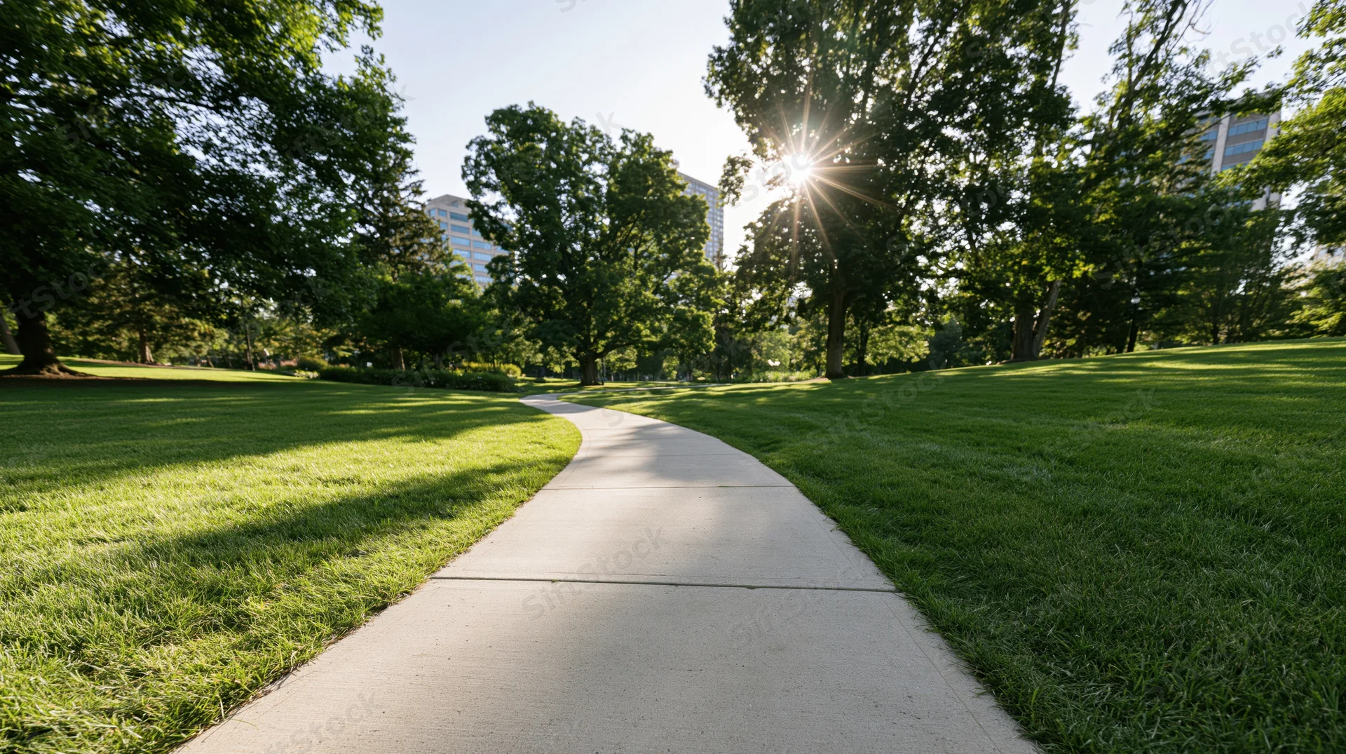 Winding concrete path through grassy park with trees and sunlight