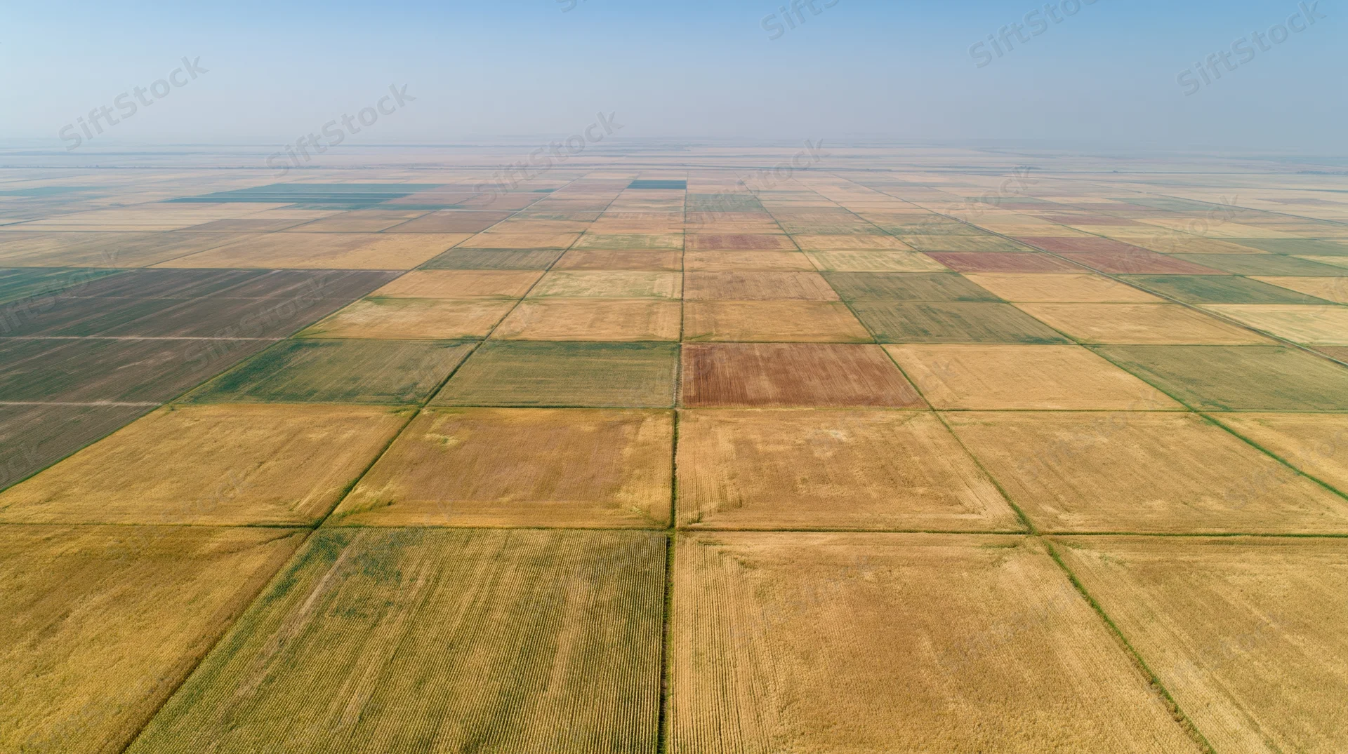 Aerial view of cultivated farmland fields arranged in a grid pattern under clear sky
