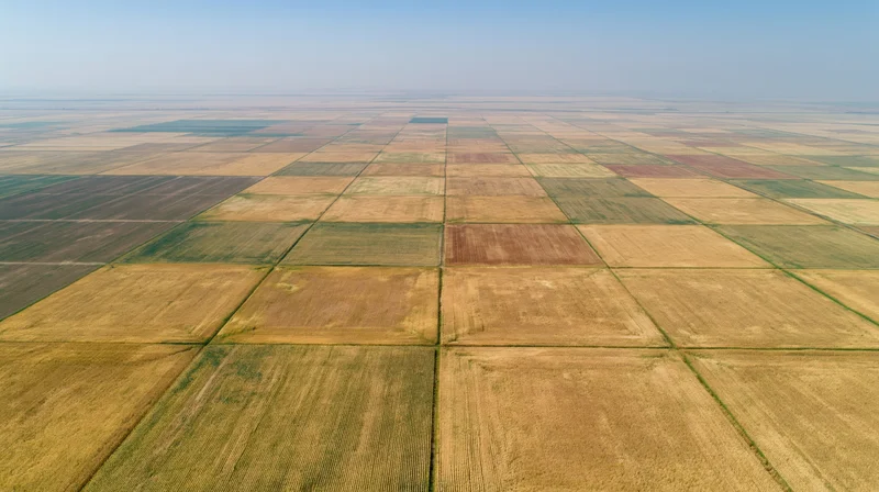 Aerial view of cultivated farmland fields arranged in a grid pattern under clear sky