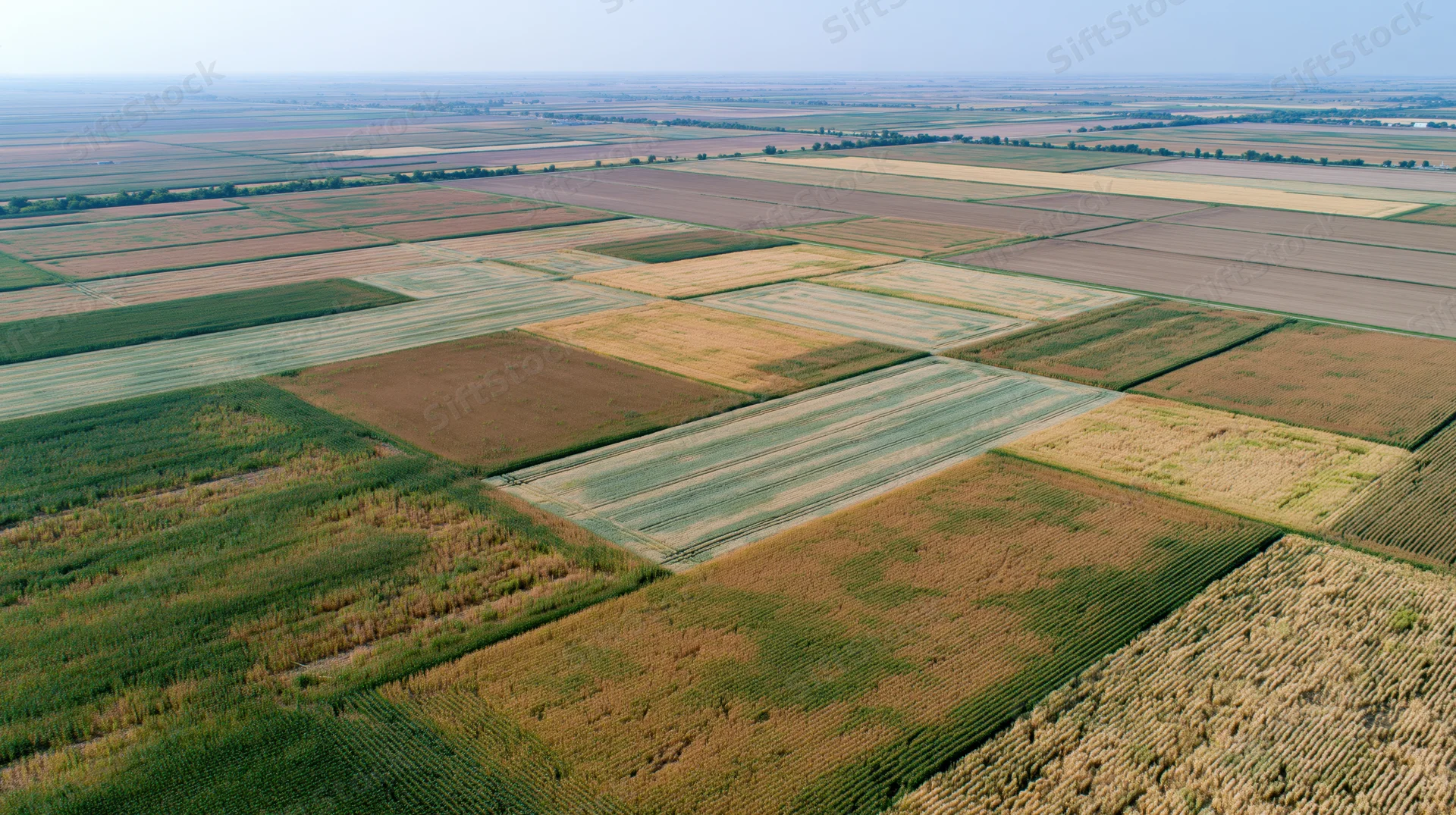 Aerial view of cultivated farmland fields arranged in a grid pattern under daylight