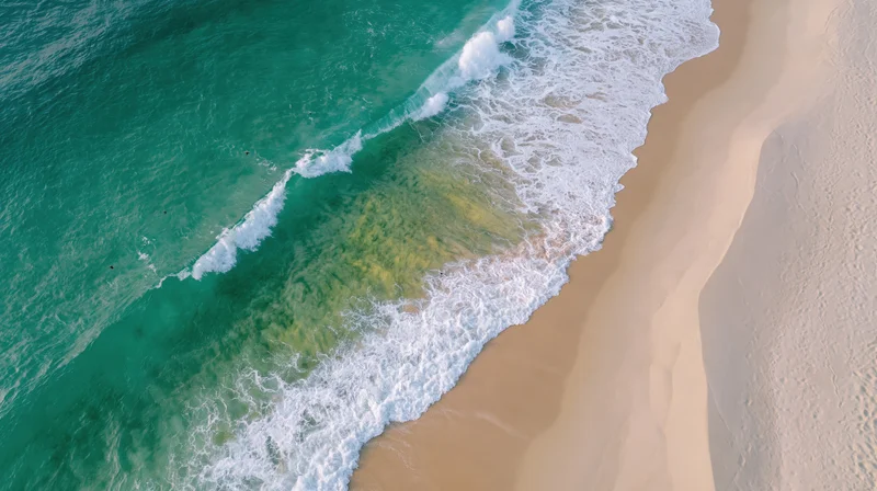 Aerial view of waves breaking on a sandy beach from directly above