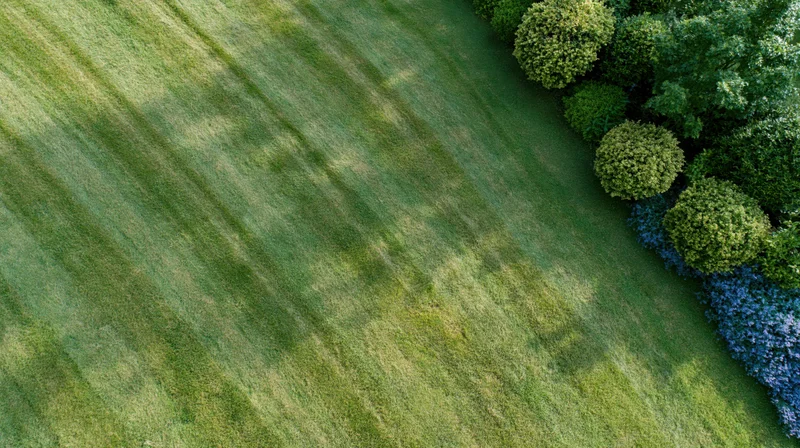 Aerial view of a freshly mowed lawn with striped grass pattern and border of shrubs and blue flowers