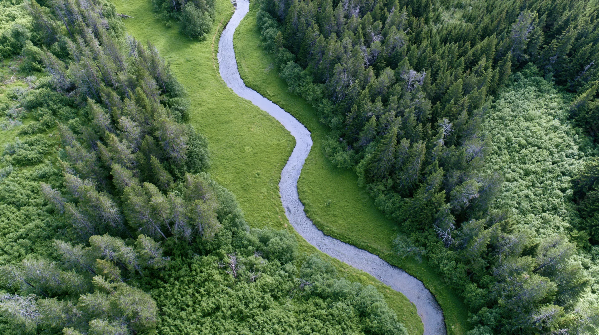 Aerial view of a winding river flowing through a dense green forest and meadow