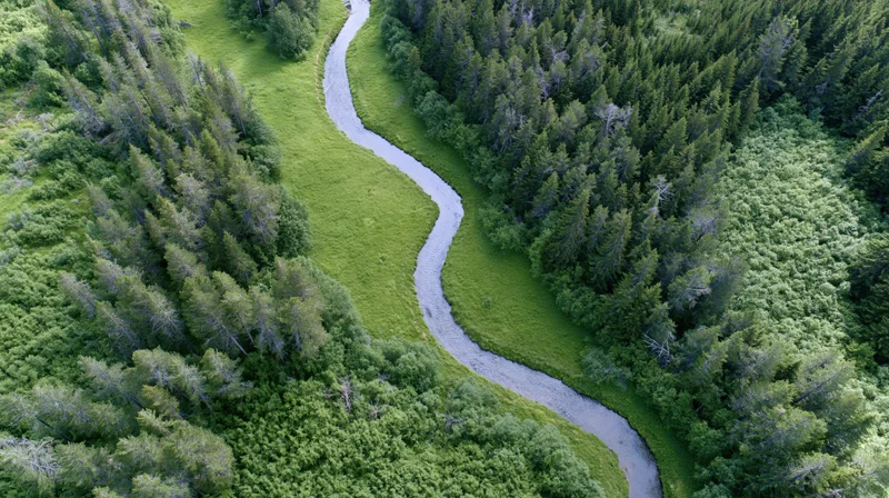 Aerial view of a winding river flowing through a dense green forest and meadow