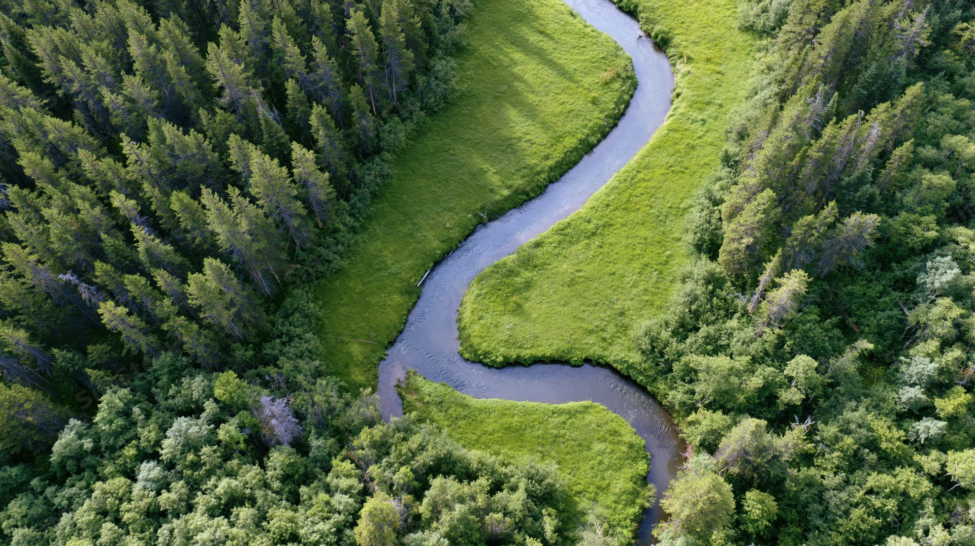 Winding river flowing through dense forest and green meadow from aerial view