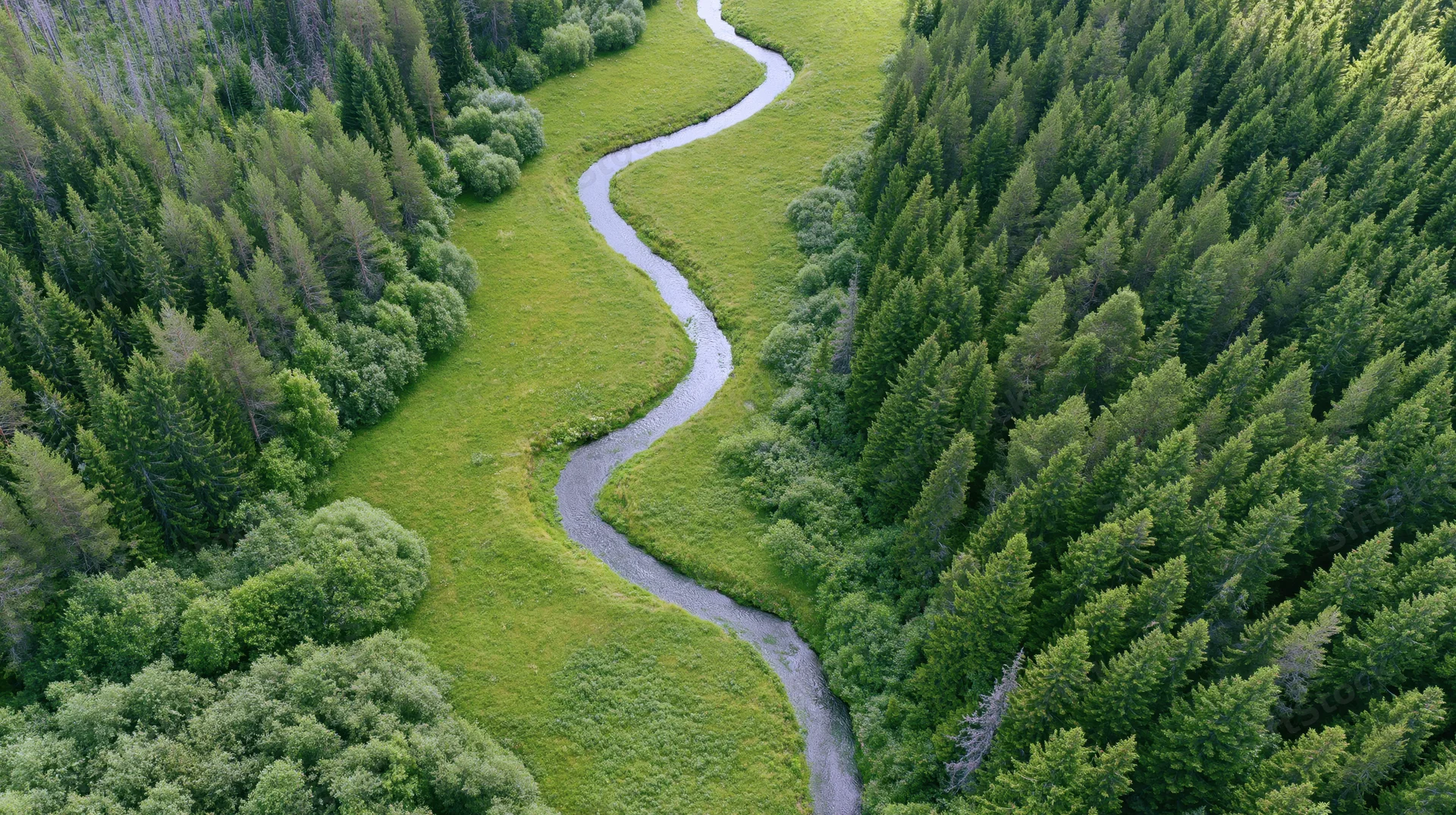 Winding river flowing through green meadow surrounded by dense forest, aerial view