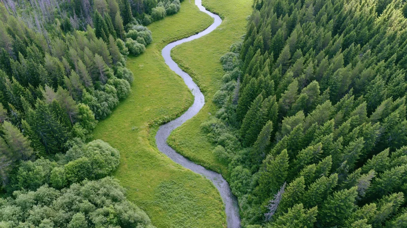Winding river flowing through green meadow surrounded by dense forest, aerial view