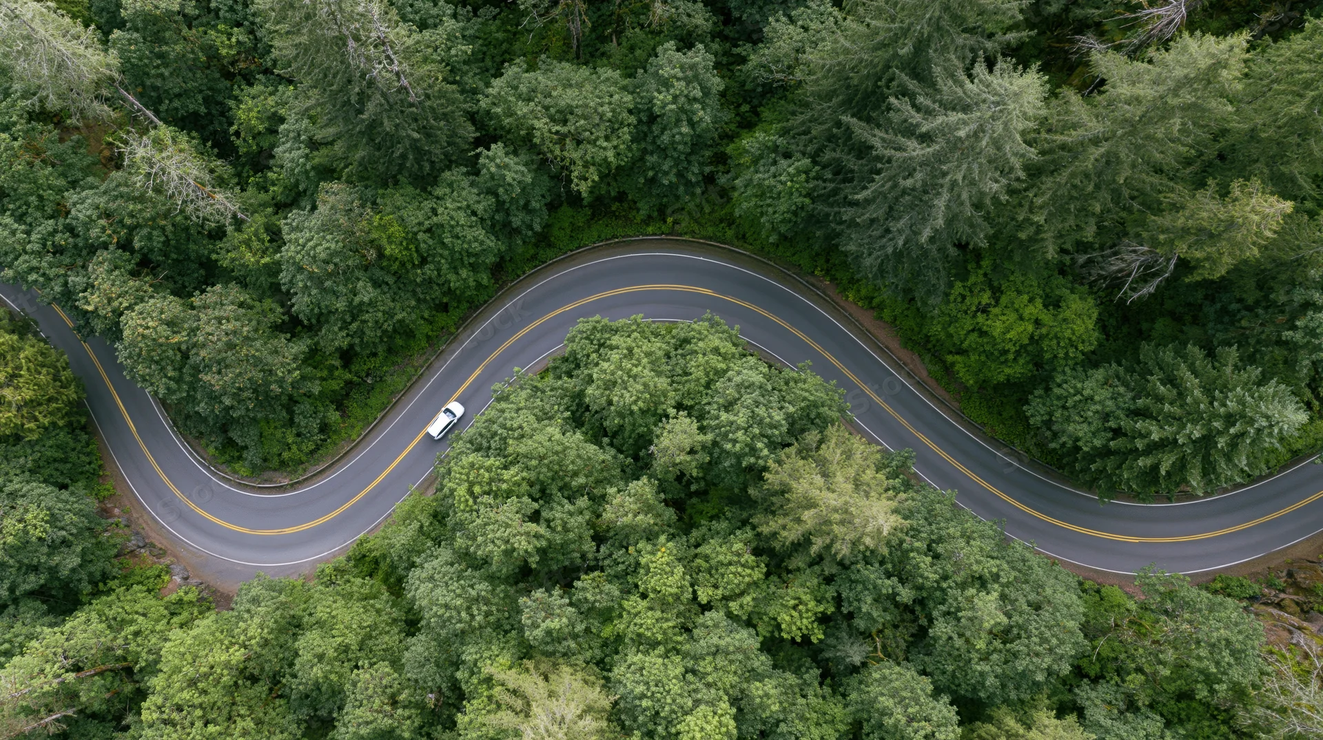 Aerial view of a winding road through dense green forest with a white car driving along the curves