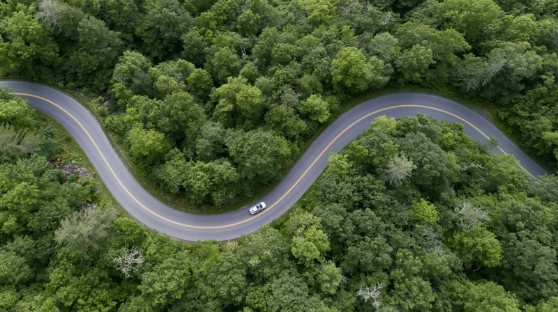 Aerial view of a winding road through dense green forest with a white car driving along the curves