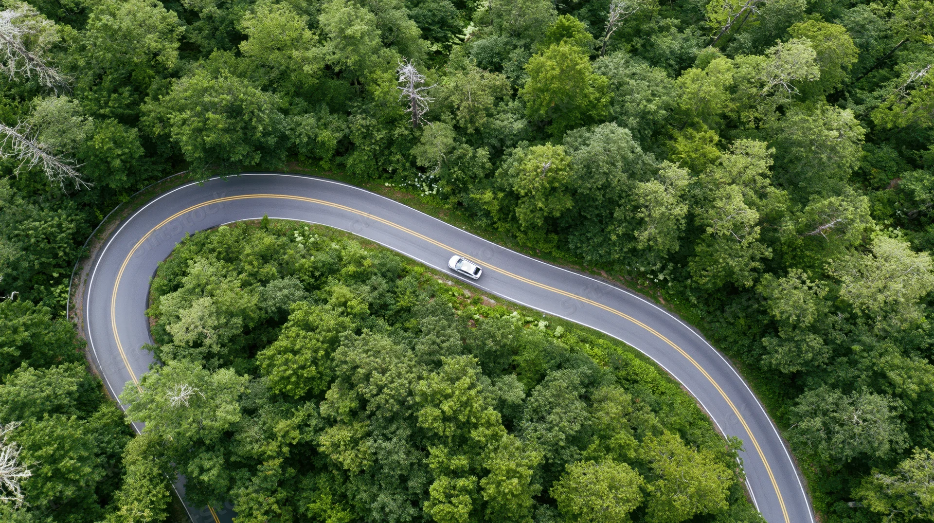 Aerial view of a winding road through dense green forest with a white car driving along the curve